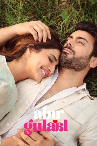 Abir Gulaal (2025) Hindi TS