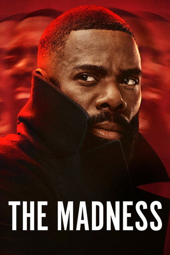 The Madness (2024) Hindi Season 1 Complete Netflix